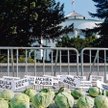 AGROunia przyniosła pod Sejm 365 główek kapusty dla posłów, którzy poparli „piątkę dla zwierząt”