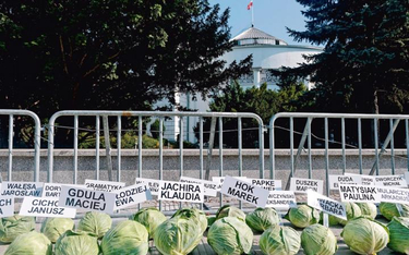 AGROunia przyniosła pod Sejm 365 główek kapusty dla posłów, którzy poparli „piątkę dla zwierząt”