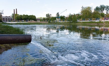Firmy trujące środowisko odpowiedzą karnie - zmiany w odpowiedzialności podmiotów zbiorowych