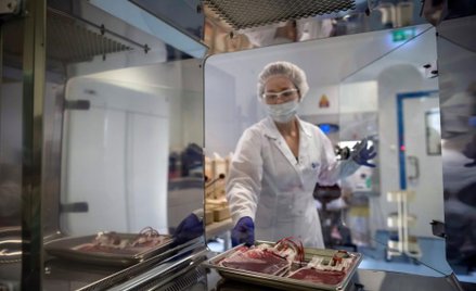 PBKM: Cena w wezwaniu AOC Health jest godziwa