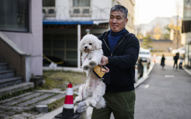 Dwie trzecie Koreańczyków popiera zakaz spożywania psiego mięsa