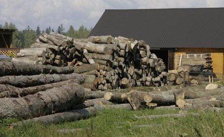 Od 2016 r. Lasy Państwowe będą zgodnie z przyjętą w tym roku ustawą odprowadzać do fiskusa podatek w