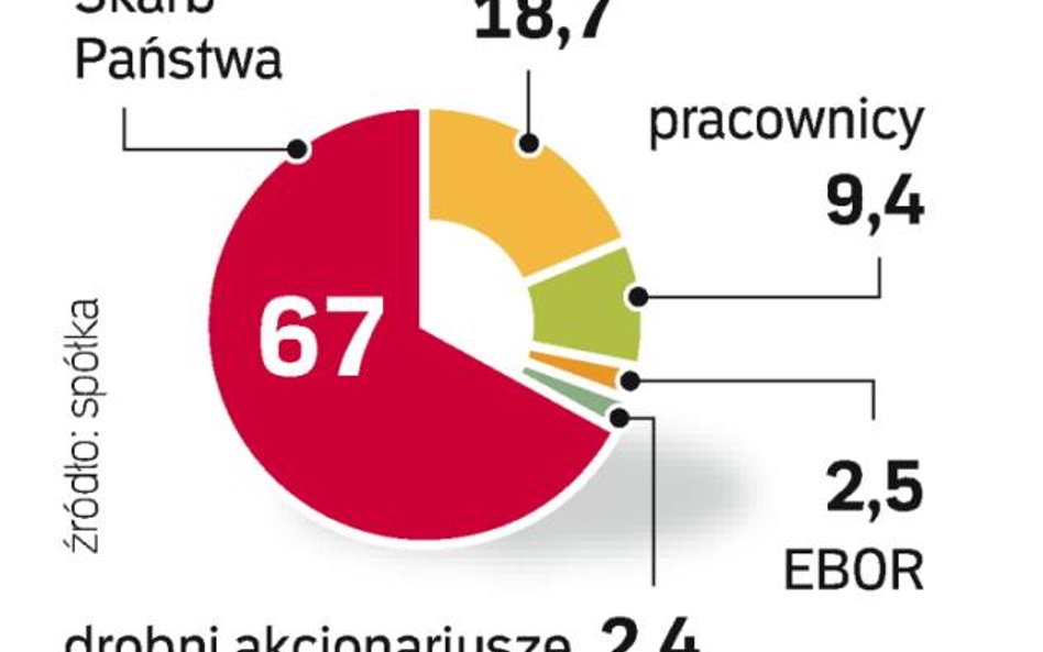 Akcjonariat Enei