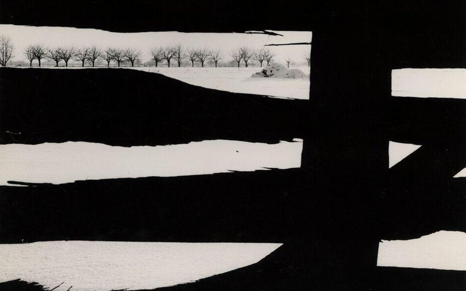 Wojciech Zamecznik, bez tytu ł u, 1964 © J. i S. Zamecznik