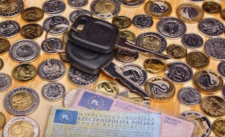 Profesjonalny dowód rejestracyjny dla polskich przedsiębiorców