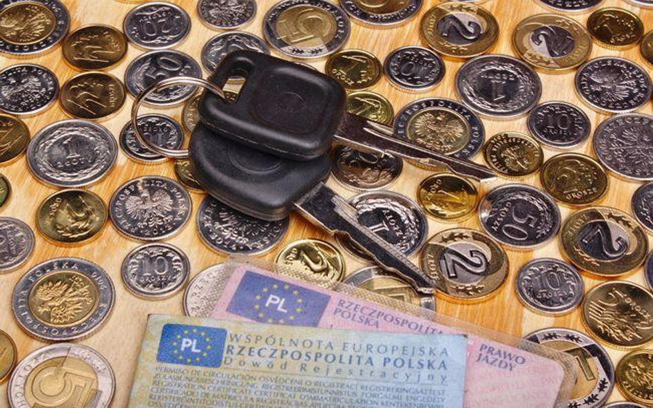 Profesjonalny dowód rejestracyjny dla polskich przedsiębiorców