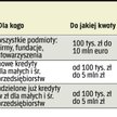 Ich celem jest zwiększenie akcji kredytowej. Nikt jednak nie pokusił się dotąd o prognozę, ile firm 