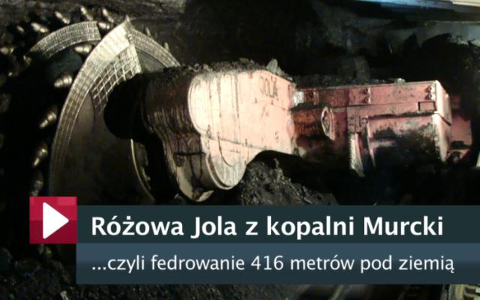 Różowa Jola z kopalni Murcki