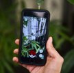 Firma IT oferuje pracę, za którą będzie płacić złotymi monetami z Pokemon GO