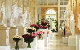 Królewska Wystawa Róż - Royal Rose