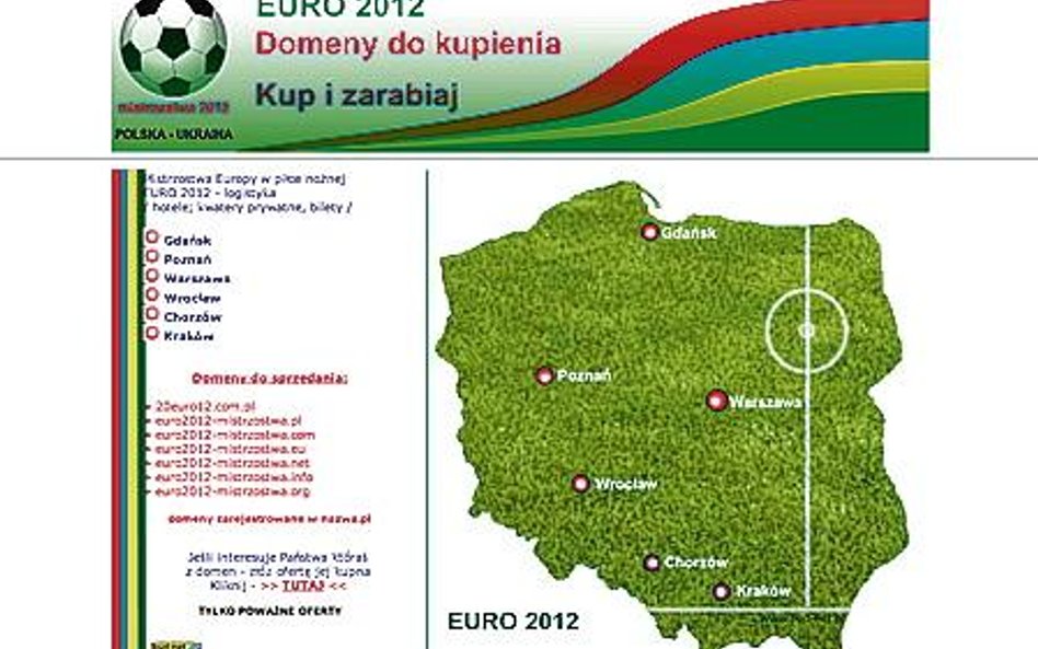 Za domenę z Euro 2012 grożą wysokie kary