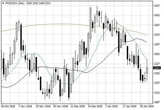Notowania kakao w USA – dane dzienne