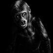 "inHuman" Pawła Bogumiła w Leica Gallery
