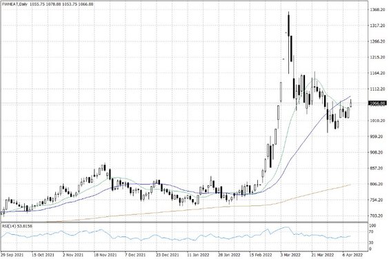 Notowania pszenicy w USA – dane dzienne
