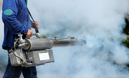 Jeśli pierwszy oprysk nie da rezultatów, trzeba go powtórzyć.