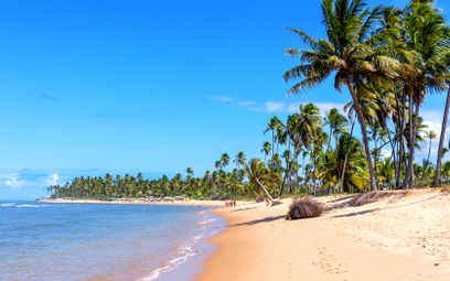Wybrzeże Kokosowe to 190 kilometrów linii brzegowej Brazylii w stanie Bahia