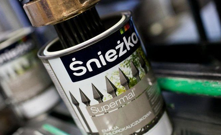 Śnieżka wypłaci dywidendę