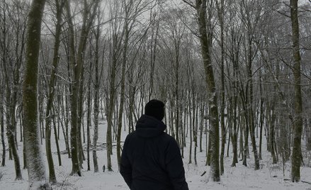 „Sprinterzy” to drzewa o lekkich liściach i niskiej gęstości drewna, rosnące bardzo szybko. Do tej g