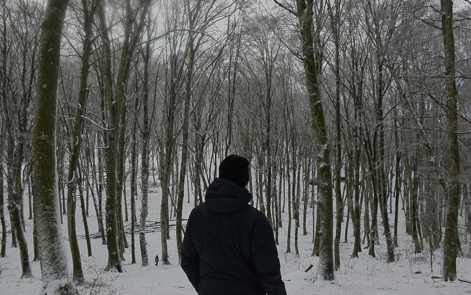 „Sprinterzy” to drzewa o lekkich liściach i niskiej gęstości drewna, rosnące bardzo szybko. Do tej g