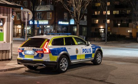 Szwecja: Sprzed komisariatu skradziono figury policjantów