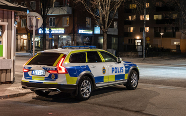 Szwecja: Sprzed komisariatu skradziono figury policjantów