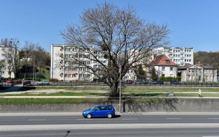 Największy problem Gdańska-Oruni to degradacja infrastruktury i zabudowy mieszkalnej, w większości k
