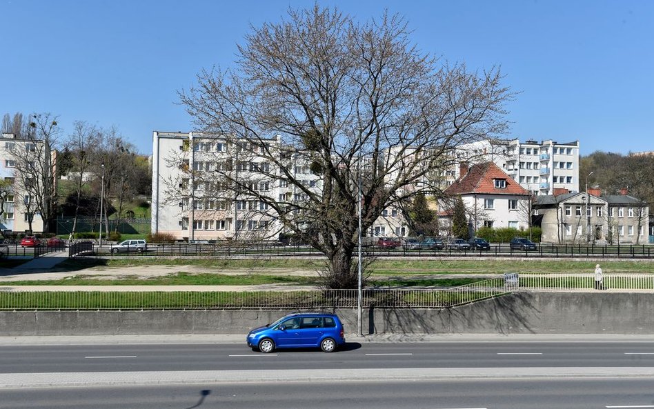 Największy problem Gdańska-Oruni to degradacja infrastruktury i zabudowy mieszkalnej, w większości k