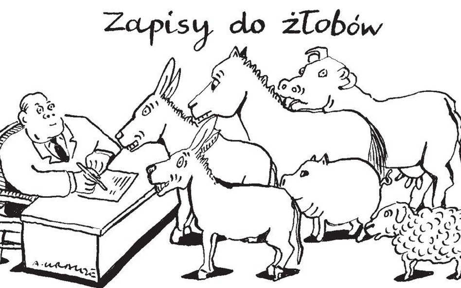 Komentarz rysunkowy. Zapisy do żłobów