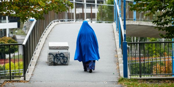 Sweden Democrats propose paying immigrants to renounce Swedish citizenship and leave