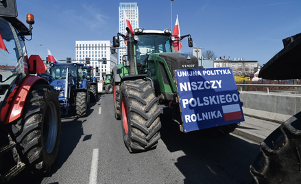 Slogany zwolenników wyjścia z UE rymują się z hasłami antyunijnie nastawionych rolników. – Albo Ziel