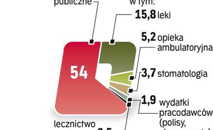 Skala rocznych wydatków sięga ponad 80 mld zł. Komercyjne ubezpieczenia zwiększyły by tę kwotę.