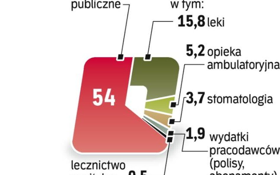 Skala rocznych wydatków sięga ponad 80 mld zł. Komercyjne ubezpieczenia zwiększyły by tę kwotę.