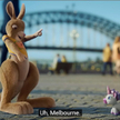 Kangur Ruby promuje Australię. Ma w tym udział polska firma Platige Image