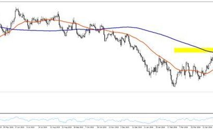 Rafał Sadoch, Zespół mForex, Dom Maklerski mBanku