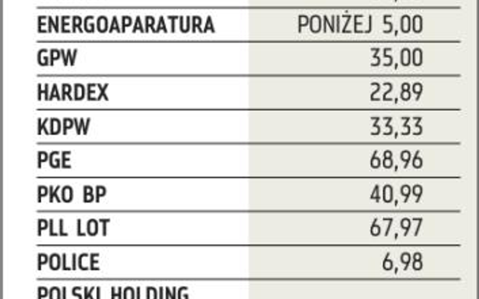 Wybrane spółki, których akcje chce sprzedać MSP