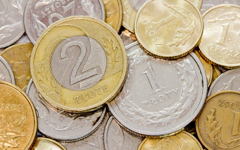 Złoty musi się przygotować na trudniejsze chwile?