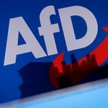Dziennikarskie śledztwo: Rosyjski wywiad zlecił doradcy polityka AfD zatrzymanie dostawy czołgów na 