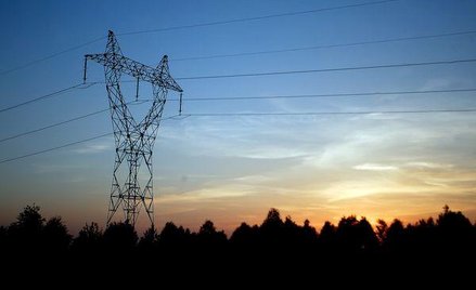 Więcej zmian sprzedawców energii