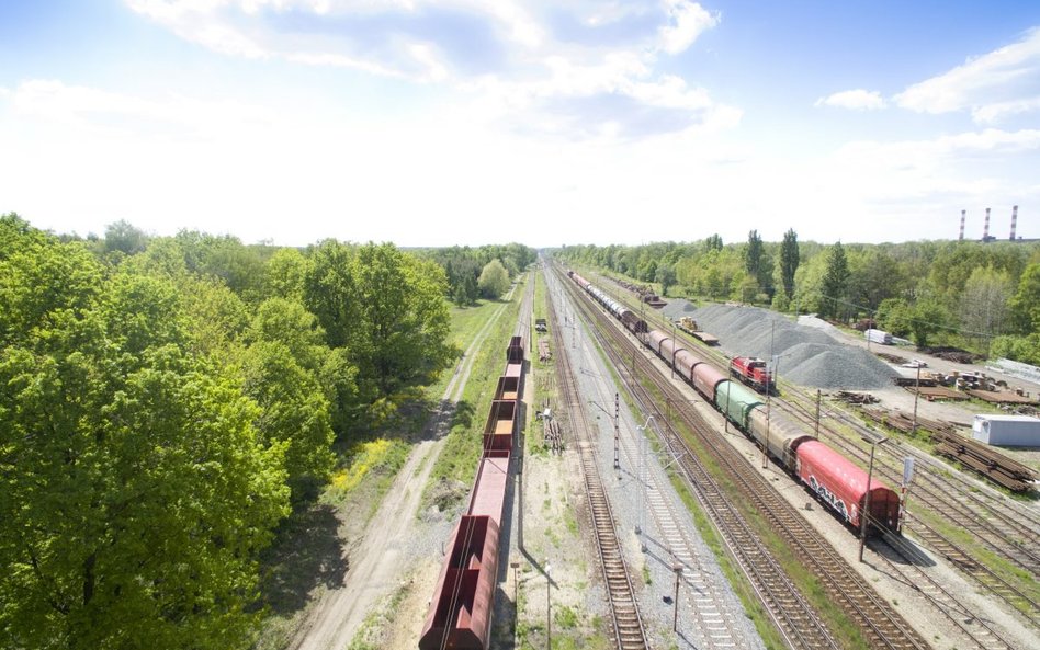 Komputerowi piraci nie zarobią