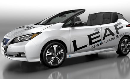 Nissan Leaf Open Car: Uczcić sukces