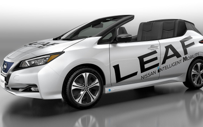 Nissan Leaf Open Car: Uczcić sukces