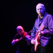 Mark Knopfler w Krakowie i Trójmieście