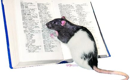 Znamy przepis na geniusza