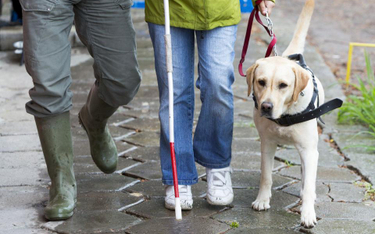 Zadośćuczynienie za odmowę wizyty lekarskiej osobie niewidomej poruszającej się z psem przewodnikiem