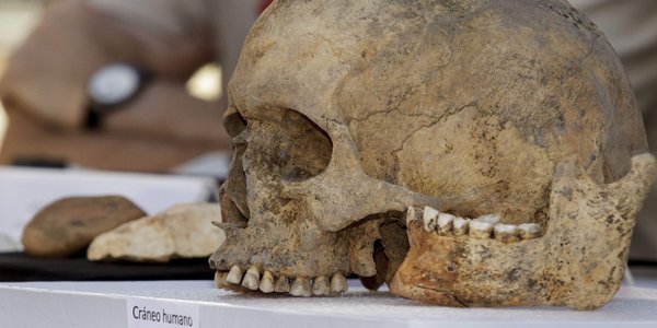 Ślady kanibalizmu na kościach dorosłych. Nowe odkrycie archeologów