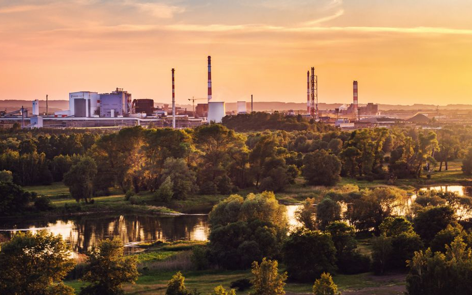 Dyrektor Huty Miedzi w Głogowie do dymisji