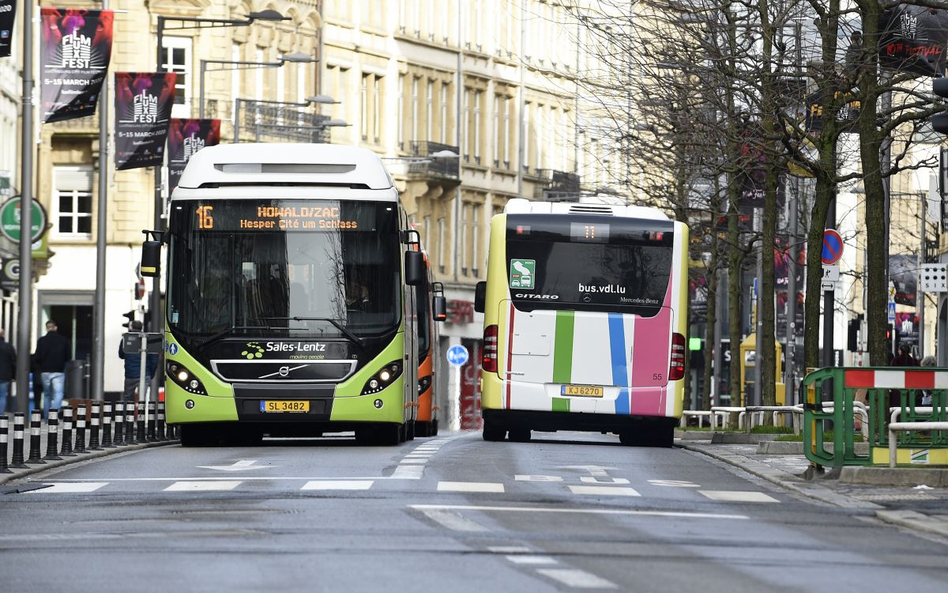 Po Luksemburgu podróż za darmo