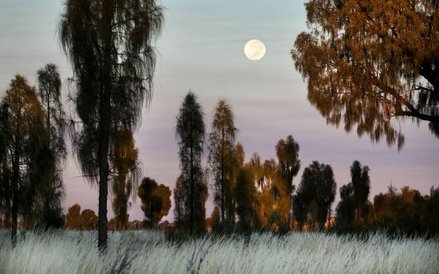 Park Narodowy Kata Tjuta, Australia, 2011 r.