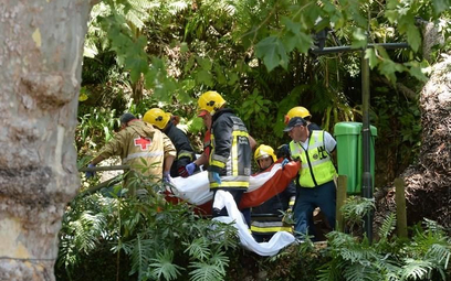12 zabitych w wyniku upadku drzewa na Maderze