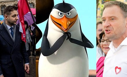 Patryk Jaki został porównany przez Sławomira Nitrasa do Rico z "Pingwinów z Madagaskaru"